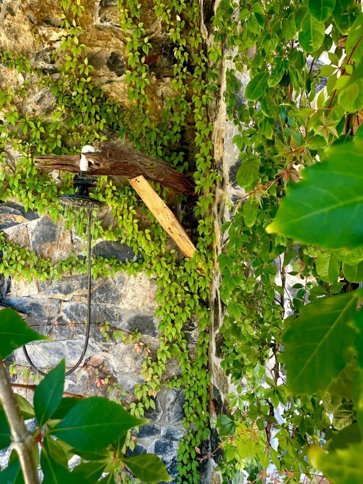 Casa Jasmin Bed & Breakfast Troncones Εξωτερικό φωτογραφία